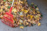 Dit is het beste moment om je tuin winterklaar te maken