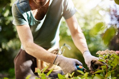 Jouw tuin slim beplanten