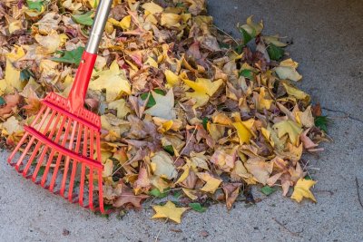 Dit is het beste moment om je tuin winterklaar te maken