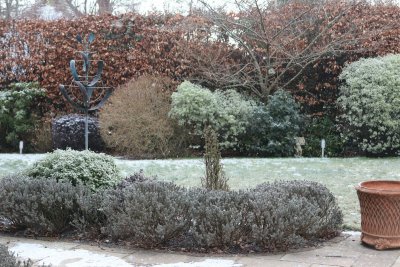 Zo bescherm je je tuinplanten tegen de eerste vorst